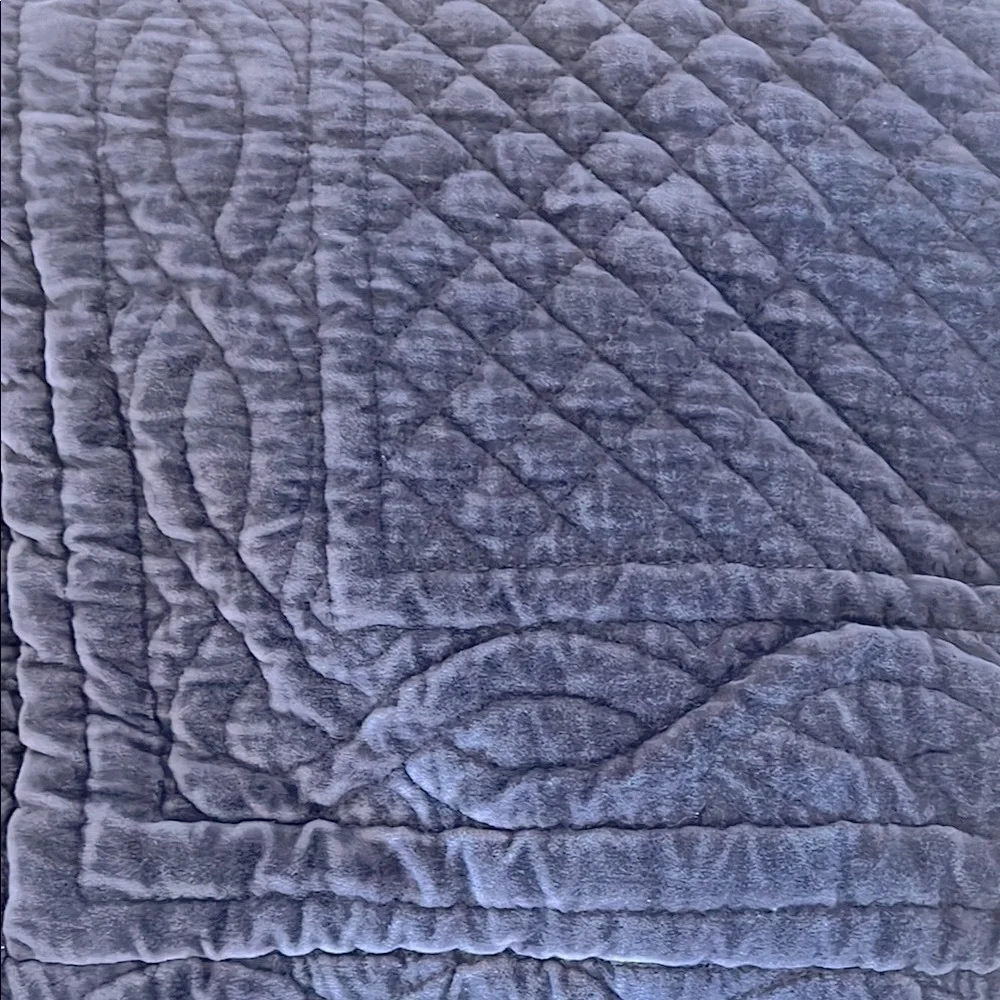 Pottery Barn Euro Shams